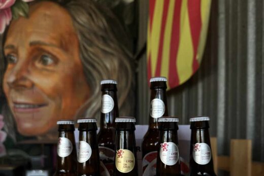 Vous cherchez une bière originale et catalane ? À la Bière du Canigou, vous trouverez la boisson du terroir parfaite !